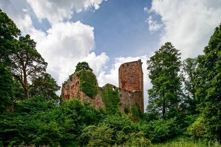 Old medieval fortress ruins of Chateau Landsberg in deep forest, Alsace, Franceの写真素材