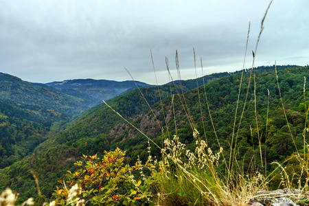 Beautiful mountains landscape from the top of the hill with fog, Alsace, France