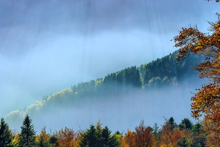 Aerial view of colorful autumnal mountains, foggy sunset, Vosges, Alsace, France