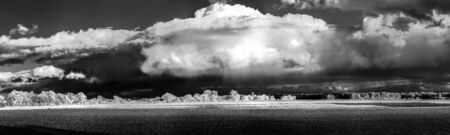 Cntrast infrared landscape, countryside view, Alsace, Franceの写真素材