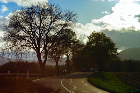 Countryside road at sunset time, autumn, Alsaceの写真素材
