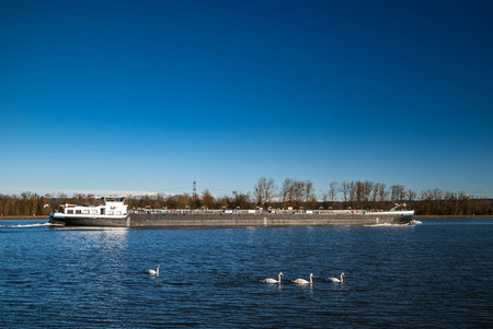 Big barge on the Rhine river, sunny weather, France, Alsaceの写真素材