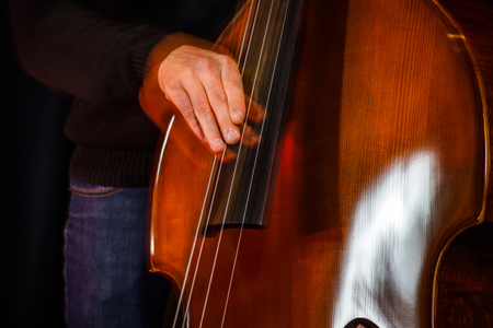 Classical double-bass instrument close-up view, music conceptの写真素材