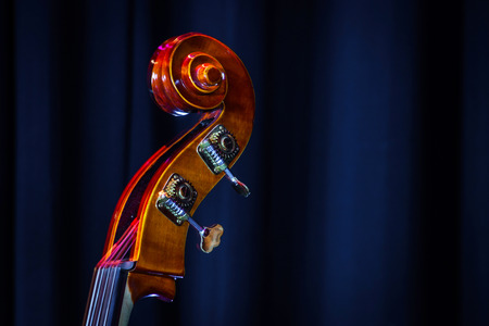 Classical double-bass instrument close-up view, music conceptの写真素材