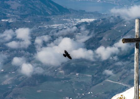 Aerial view of bird flying over the land, Switzerlandの写真素材