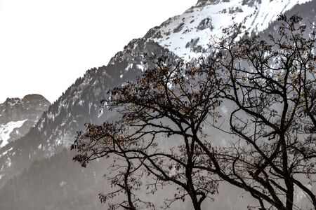 Beautiful snowy mountains, sunny day in Alps, Switzerland