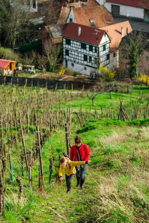 Cute little girl in vineyards, spring sunny day, Alsaceの写真素材