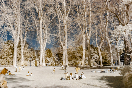 Editorial: 8th April 2017, Strasbourg, France: People in the parkのeditorial素材