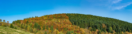 Colorful autumnal forests in Alsace, France, seasonal specific, natural landscapeの写真素材