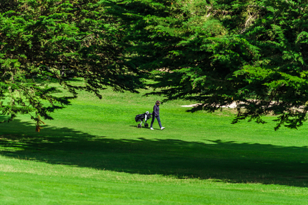 Golf player on green field, summer day, Bretagne, Franceの写真素材