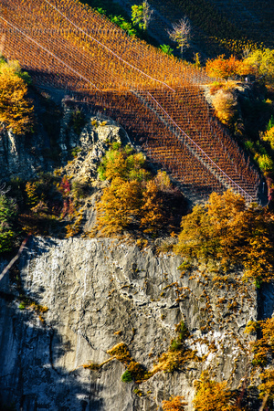 Rusty colored autumnal vineards landscape aerial view, Switzerlandの写真素材
