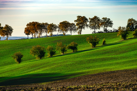 Beautiful green and yellow hills on sunset, french Tuscany, Franceの写真素材