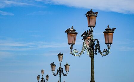 St. Mark's Square in Venice. Tall bell tower on a sunny day. Italy.の写真素材