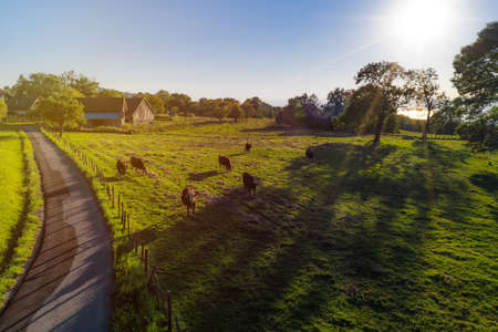 Geneva lake aerial panoramic view from drone, sunset time, Franceの写真素材