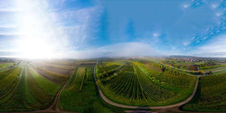 A drone spherical 360-degree panoramic view of the stunning expanse of the Vosges foothills. Autumn vineyards in the morning fog. France.の写真素材