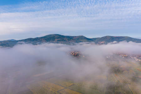A drone view of the stunning expanse of the Vosges foothills. Autumn vineyards in the morning fog. Franceの写真素材