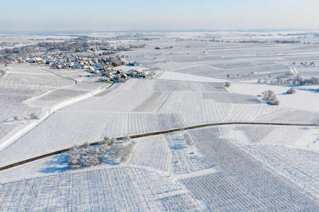 Alsace vineyards under heavy snow on a sunny winter day. Details and top view. France.の写真素材