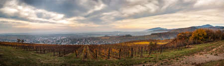 Orange red rust colored vineyards in Alsace. Autumn landscape after harvest. France.の写真素材
