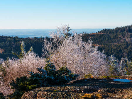 First winter cold. On the tops of the Vosges mountains, the trees are covered with hoarfrost. White snow and blue sky. Panoramic view of the silhouettes of the mountains.の写真素材