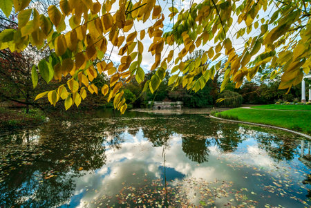 Autumn colors in the city of Strasbourg. Yellow, red, orange leaves. Ginkgo. Maple. Cityscape in stunning colors.の写真素材