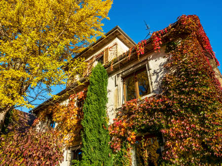 Autumn colors in the city of Strasbourg. Yellow, red, orange leaves. Ginkgo. Maple. Cityscape in stunning colors.の写真素材