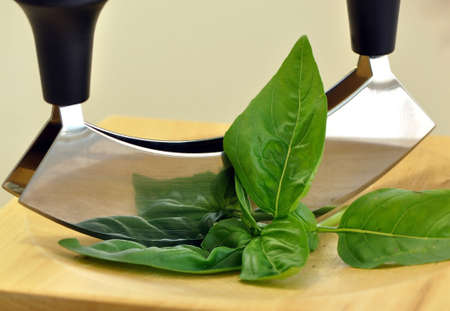 Chopping basilの写真素材