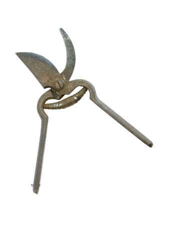 old Garden scissors on white background isolatedの写真素材