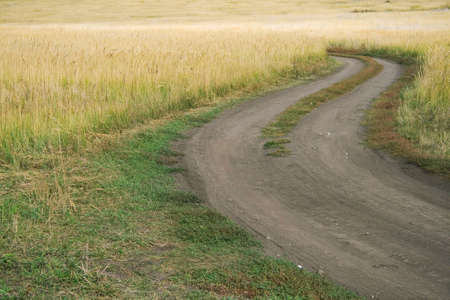 golden and green grass field with a roadの写真素材