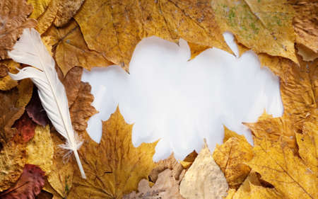 Frame from autumn leaves and goose quillの写真素材