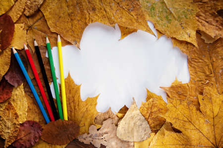 Frame from autumn leaves and goose quill and pencilsの写真素材