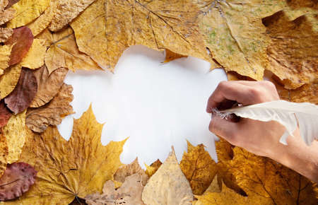 Hand writing on a paper list by goose quillの写真素材
