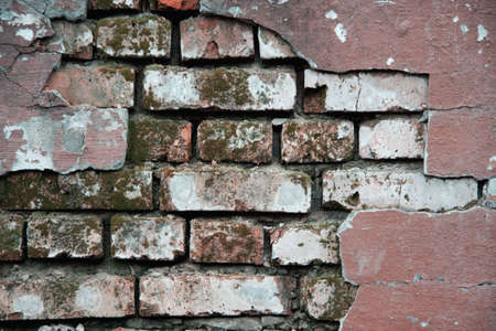 crannied plaster on red brick wall with moss