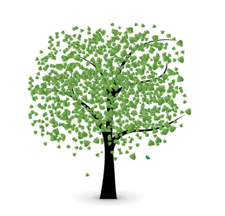 tree with green leaves, illustration on whiteのイラスト素材