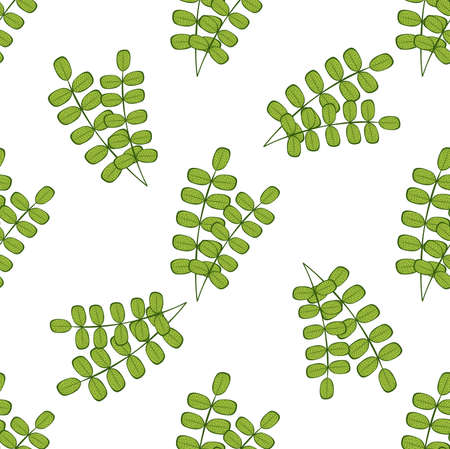 Seamless vintage floral pattern with leafs on white backgroundのイラスト素材