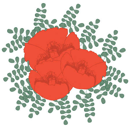Hand drawn red poppies seamless vector illustrationのイラスト素材