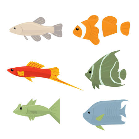 Collection of tropical fish - set of vector icons Isolated on white backgroundのイラスト素材