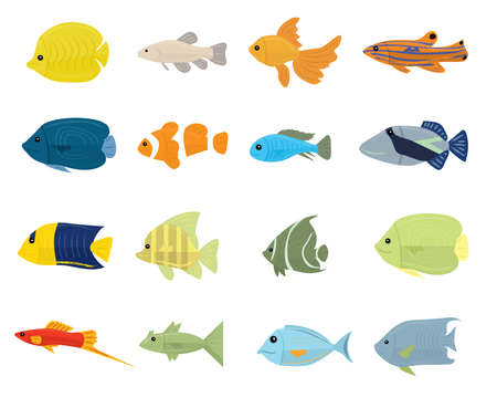 Set of Tropical Fish on white background. Vector illustrationのイラスト素材