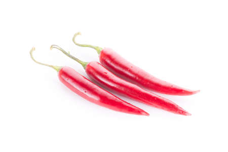 chili pepper isolated on a white background