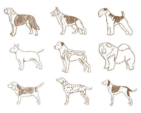 Dogs Set. Vector Illustration. Cartoon Sketch Isolated on White Background.のイラスト素材