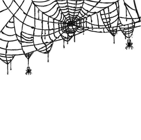 Spider and Web Isolated on White Background Vector Illustration.のイラスト素材