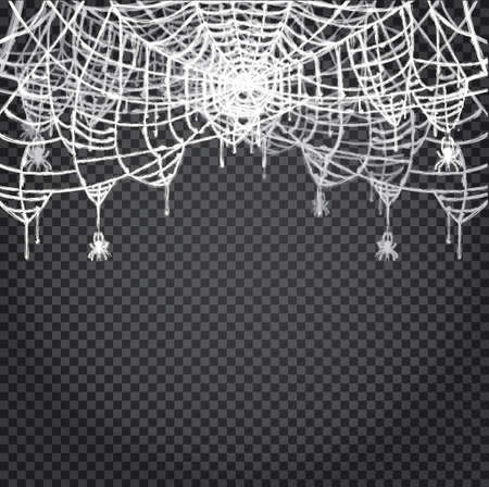 Spider and Web Isolated on Transparent Background Vector Illustration.のイラスト素材