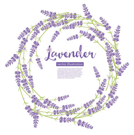 Lavender Wreath Flowers Isolated on White. Vector Illustration.のイラスト素材