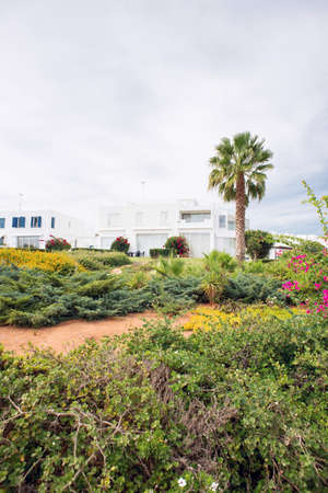Modern Luxury Villa Resort with Greenery Palms Garden. Hotel Exterior.
