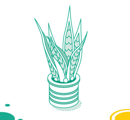 Isometric Sansevieria. Houseplant Isolated on White Background. Snake Plant in Pot. vector illustration. Modern Tropical Houseplant.のイラスト素材
