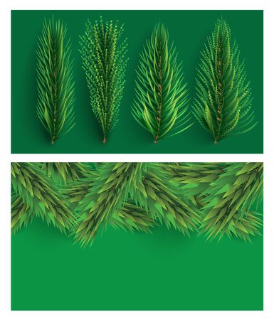 Fir Branches Set. christmas tree. Pine Sprigs on Green Background.の写真素材