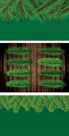Christmas Border with Fir Branches. Pine Sprigs on Above.の写真素材