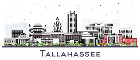 Tallahassee Florida City Skyline with Color Buildings Isolated on White. vector illustration. Tallahassee Cityscape with Landmarks. Business Travel and Tourism Concept with Modern Architecture.のイラスト素材