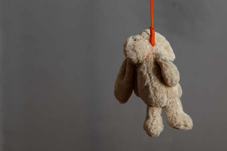 Rabbit soft toy hanging on ropeの写真素材