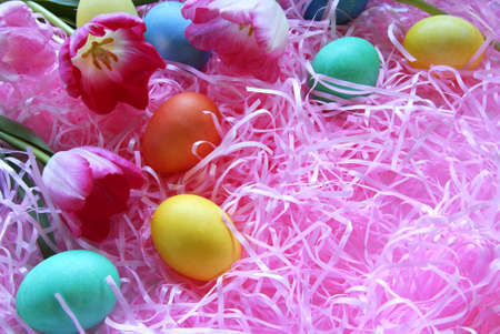 Fun Easter Eggs on Pink Grass with tulips
