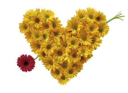 Daisy heart with daisy arrow on a white isolated backgroundの写真素材